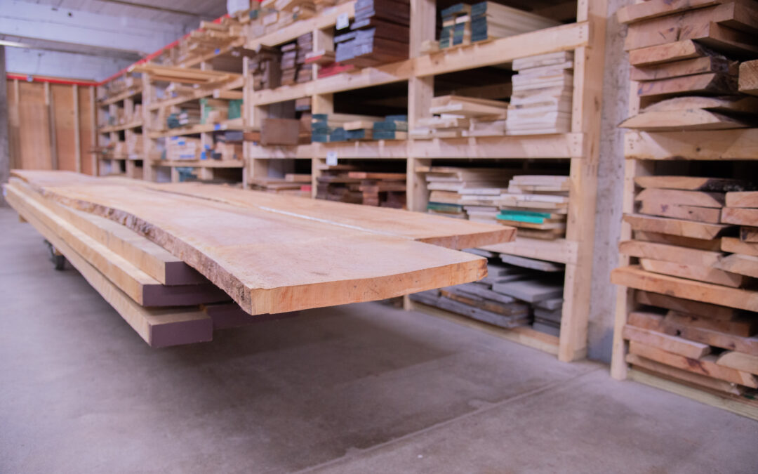 “Big Box” Stores vs. Smaller Independents