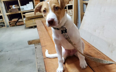 What’s New (and What Never Changes) at Barney & Carey Co.