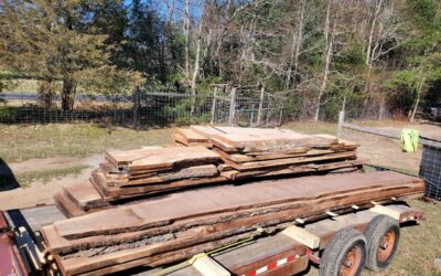 The (Un)Usual Suspects: Really Unusual Walnut Slabs