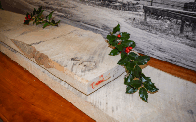 Unveiling the Holiday Spirit: Welcome Holly Wood!